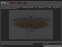 Tablet Screenshot of goetgheluck.com